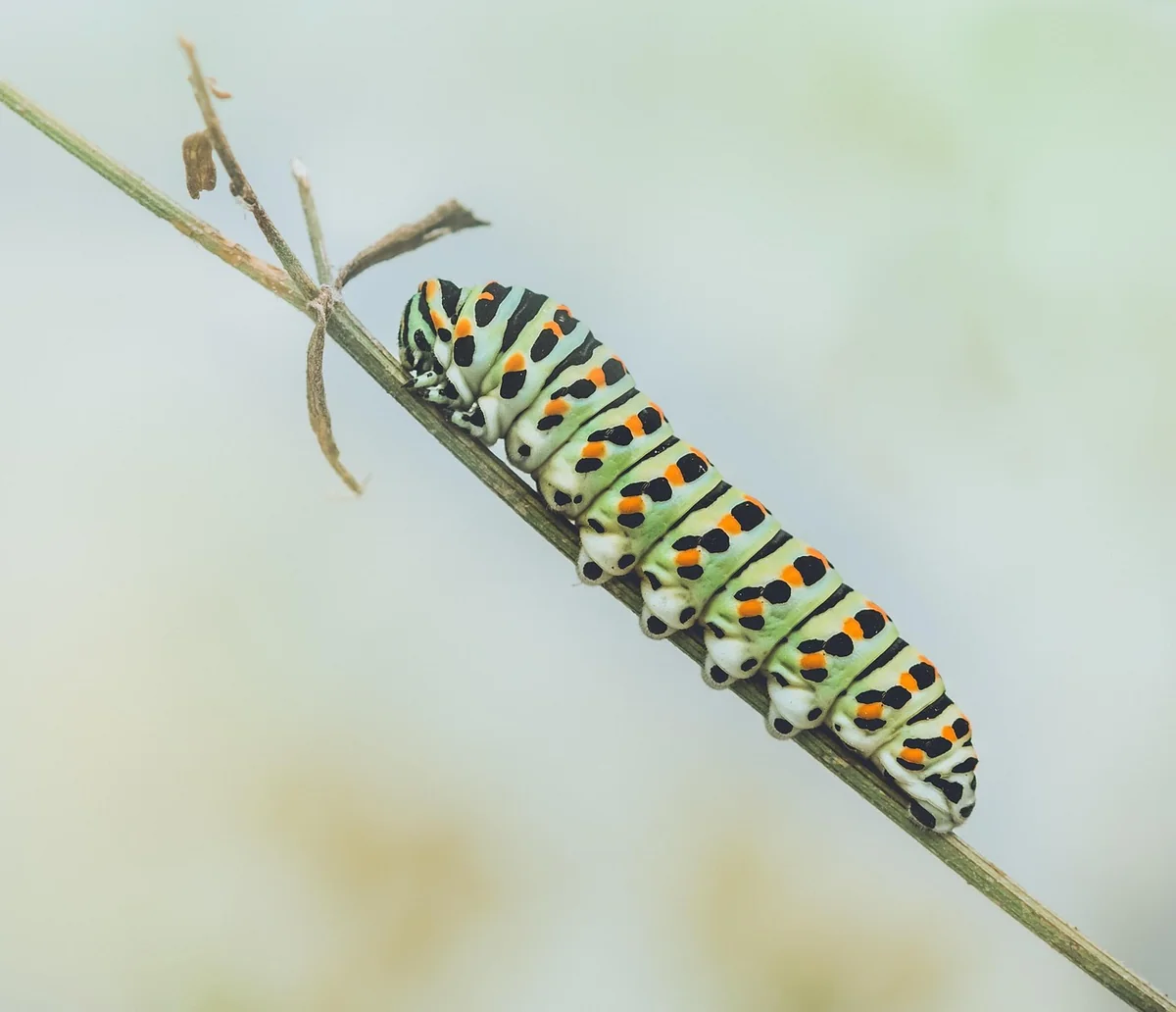 Branchen im Fokus: Diese Sektoren treiben die digitale Transformation voran