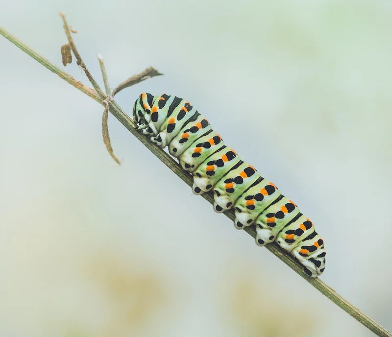 Branchen im Fokus: Diese Sektoren treiben die digitale Transformation voran