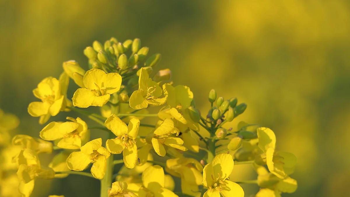 Kultur und Entertainment News Deutschland 2026: Die Highlights