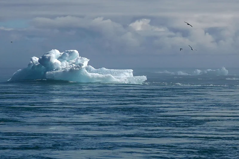 Kampf gegen den Klimawandel: Wissenschaft auf der Überholspur