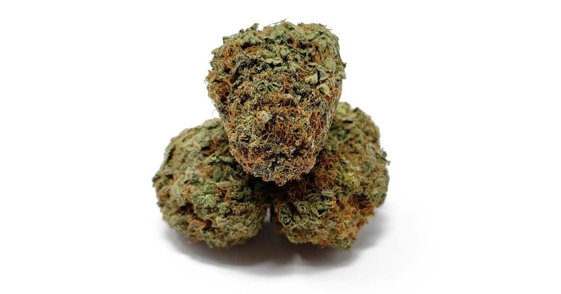 Sour Diesel im Test: Wirkung, Geschmack und Anbau-Tipps